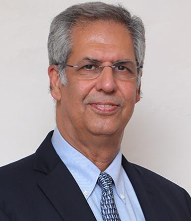 N N Tata, Vice Chairman
